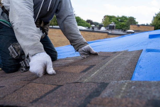 Best Residential Roof Replacement  in Chetopa, KS
