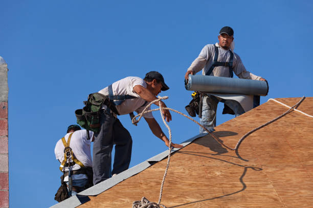 Best Roof Restoration Services  in Chetopa, KS
